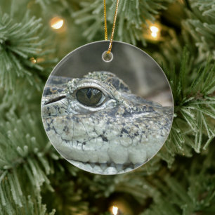 Krokodil Glimlach Ornament
