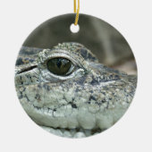 Krokodil Glimlach Ornament (Voorkant)