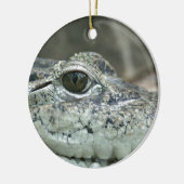 Krokodil Glimlach Ornament (Links)