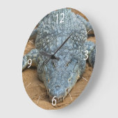 Krokodil Grote Klok (Hoek)