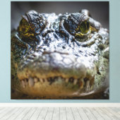 krokodil in water canvas afdruk (Insitu (Houten vloer))