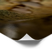krokodil in water perfect poster (Hoek)