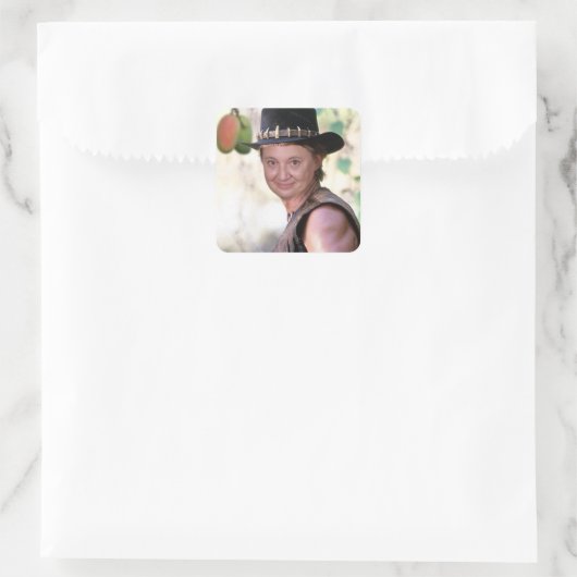 Krokodil Kate Sticker (Tas)