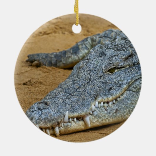 Krokodil Keramisch Ornament (Achterkant)