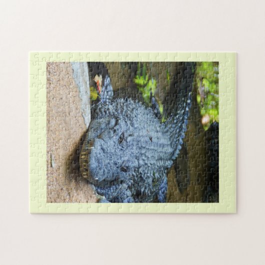 Krokodil Legpuzzel (Horizontaal)