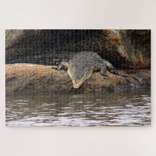 krokodil legpuzzel (Horizontaal)