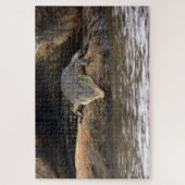 krokodil legpuzzel (Verticaal)
