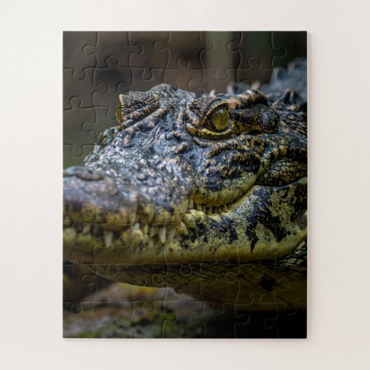 krokodil legpuzzel (Verticaal)