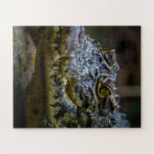 krokodil legpuzzel (Horizontaal)