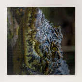 Krokodil Legpuzzel (Horizontaal)