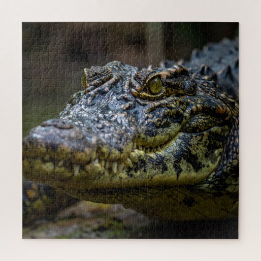 Krokodil Legpuzzel (Verticaal)