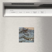 Krokodil Magneet (Insitu (Vaatwasser))