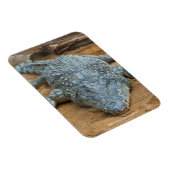 Krokodil Magneet (Rechterzijde)
