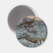 Krokodil Magneet (Voorkant / Achterkant)
