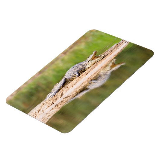 Krokodil Magneet (Linkerzijde)