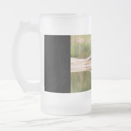 Krokodil Matglas Bierpul (Links)