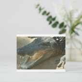 Krokodil met gebroken tand.jpg briefkaart (Staand voorkant)