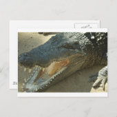 Krokodil met gebroken tand.jpg briefkaart (Voorkant / Achterkant)