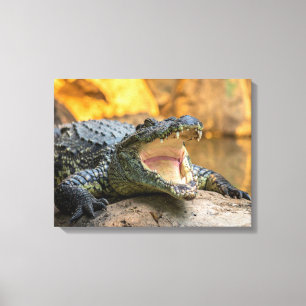 Krokodil met open mond canvas afdruk