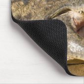 krokodil muismat (Hoek)