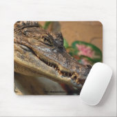 Krokodil Muismat (Met muis)