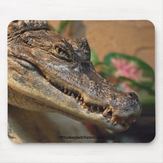 Krokodil Muismat (Voorkant)