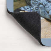 Krokodil Muismat (Hoek)