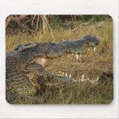 Krokodil Muismat (Voorkant)