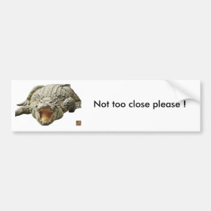 Krokodil, niet te dichtbij alstublieft ! bumpersticker