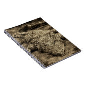 Krokodil Notitieboek (Rechterzijde)