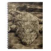 Krokodil Notitieboek (Voorkant)
