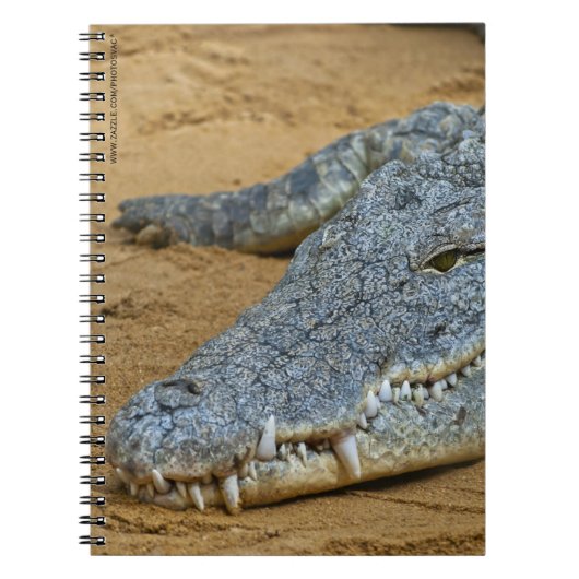Krokodil Notitieboek (Voorkant)