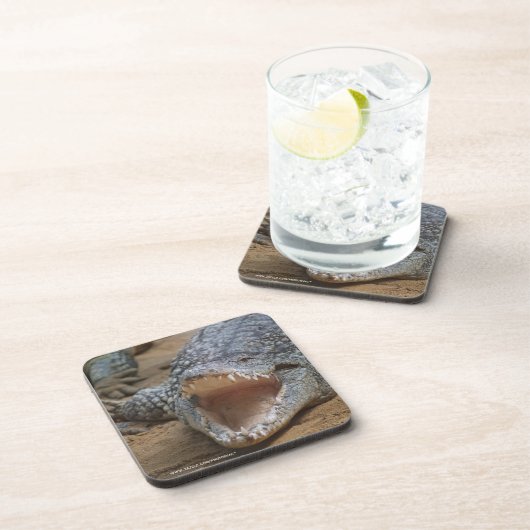 Krokodil Onderzetter (Rechterzijde)