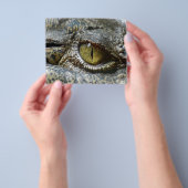 krokodil oog gezicht dier aangepast personaliseren flyer (Hand)