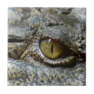 krokodil oog gezicht dier aangepast personaliseren tegeltje