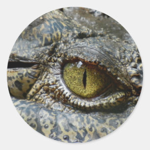krokodil oog gezicht dier maatwerk diy ronde sticker