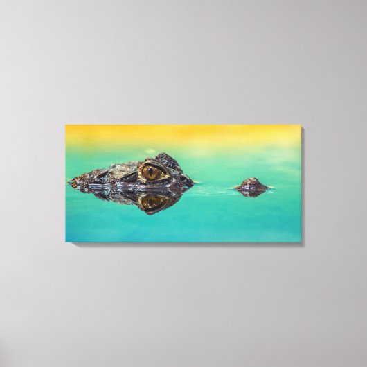 Krokodil op stilstaand water Canvasprint Canvas Afdruk (Voorkant)