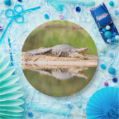 Krokodil Papieren Bordje (Feest)