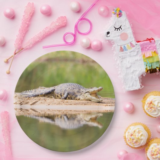Krokodil Papieren Bordje (Feest)
