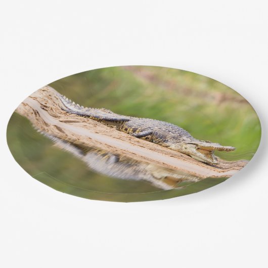 Krokodil Papieren Bordje (Gekanteld)