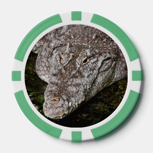 Krokodil Poker Chips (Voorkant)