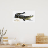 Krokodil Poster (Keuken)