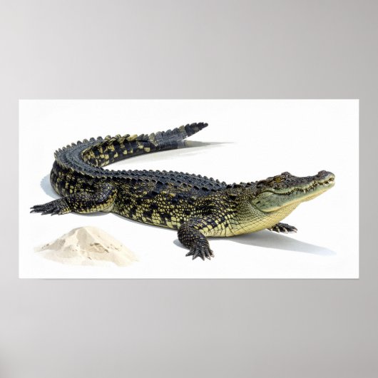 Krokodil Poster (Voorkant)