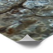 Krokodil Poster (Hoek)