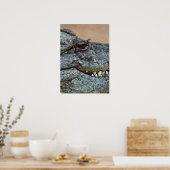 Krokodil Poster (Keuken)