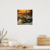 Krokodil Poster (Keuken)