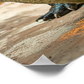 Krokodil Poster (Hoek)