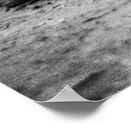 Krokodil Poster (Hoek)