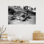 Krokodil Poster (Keuken)