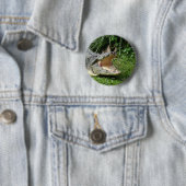 Krokodil Ronde Button 5,7 Cm (In situ)